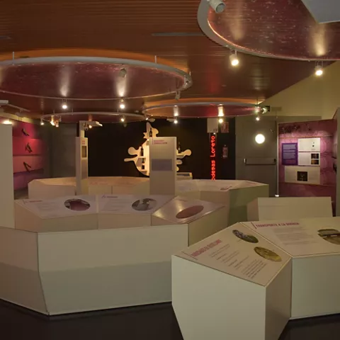 Museo Torre del Vino de Socuéllamos