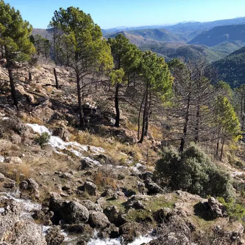 Panorámica de la ruta al nacimiento del arroyo Bravo de Yeste