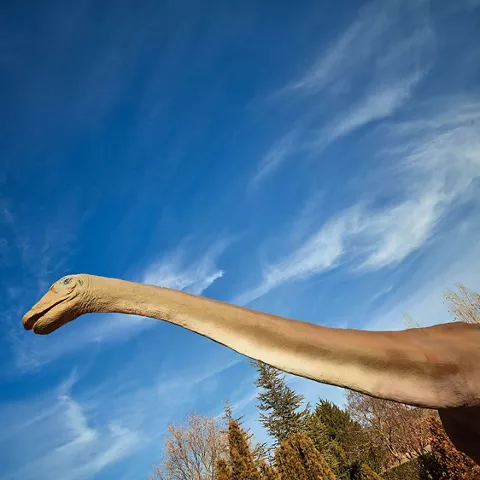 Ruta de los dinosaurios de Cuenca, Museo Paleontológico