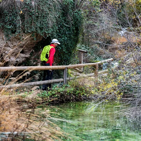 Ruta de subida al Pico Padrastro desde Bogarra