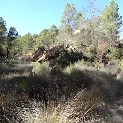 Entorno del tollo de las Tortugas PR AB41