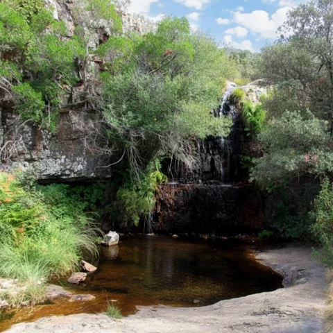 Poza natural entre rocas y vegetación frondosa