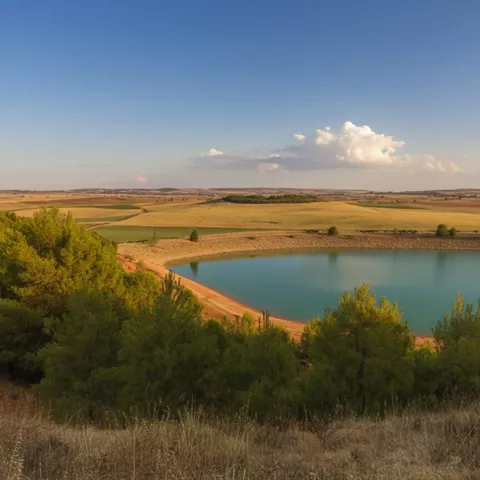 Laguna rodeada de campos y vegetación baja
