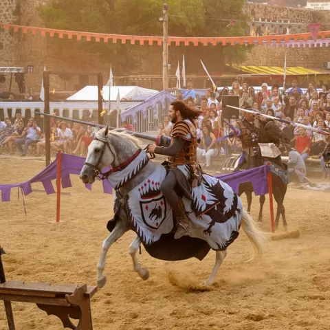 Combate a caballo en plaza con público