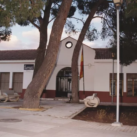 Casa consistorial con bancos y pinos