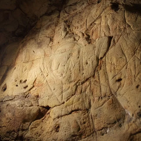 Detalle de grabados paleolíticos con figuras animales trazadas en piedra.