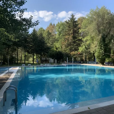 Piscina exterior rodeada de árboles, con agua tranquila y cielo despejado.