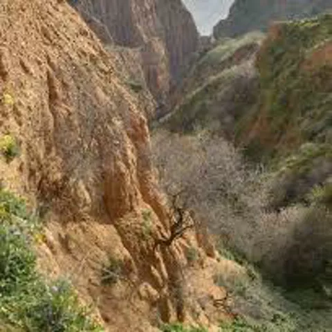 Desfiladero estrecho con paredes rocosas escarpadas y vegetación baja.