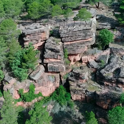 Mirador sobre cortados rocosos rodeados de pinos.