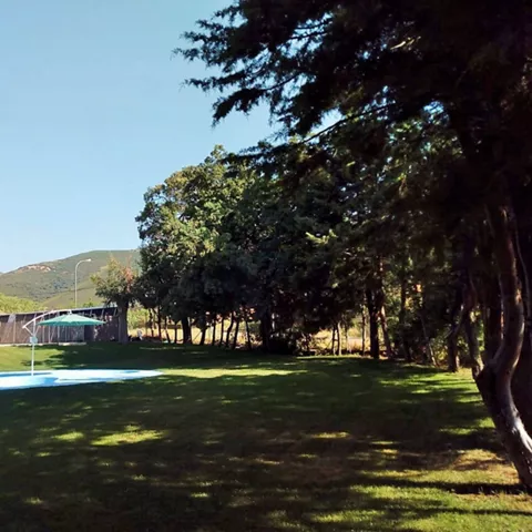 Pradera amplia con sombra de árboles y montes al fondo