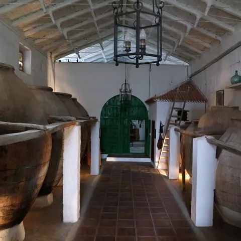 Interior de bodega con grandes tinajas de barro alineadas.
