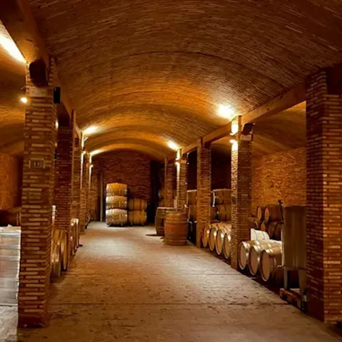 Sala abovedada con barricas de madera alineadas en una bodega subterránea.