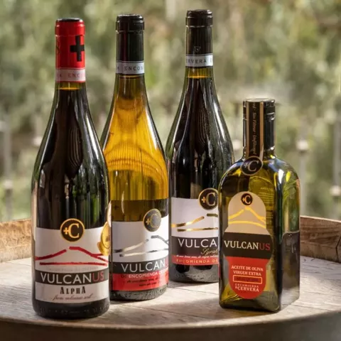 Botellas de vino y aceite de oliva sobre barrica de madera