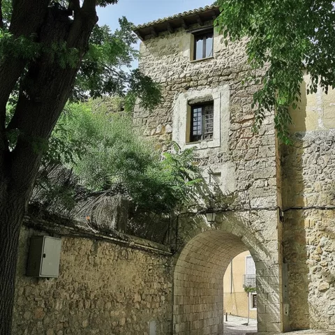 Arco de piedra integrado en edificio antiguo con vegetación alrededor.