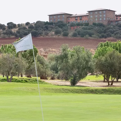 Bandera en green rodeado de olivos