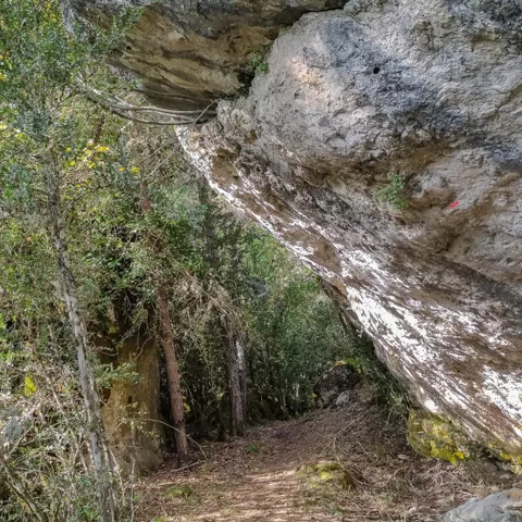 Camino natural bajo roca