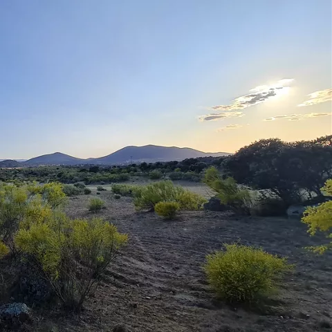 Paisaje natural al atardecer