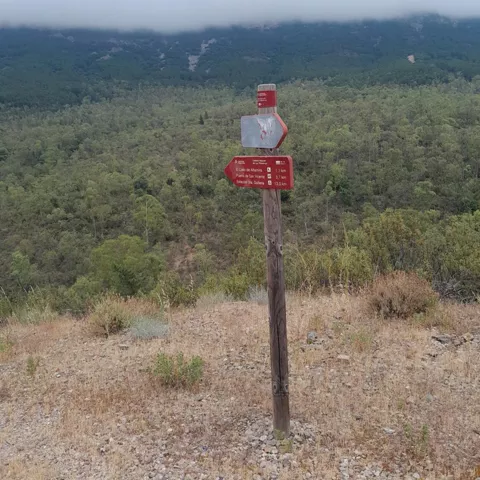 Señal del camino de Guadalupe en entorno natural