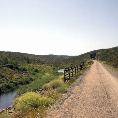 Sendero junto a río en entorno natural
