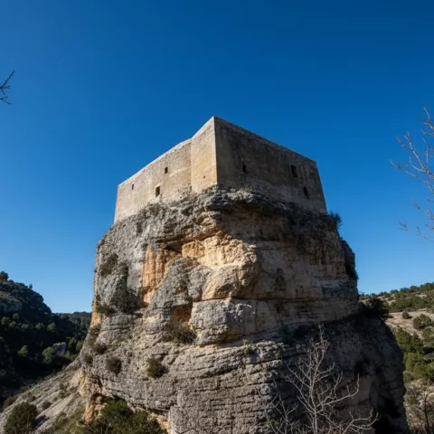 Edificación fortificada sobre un risco con valle alrededor.