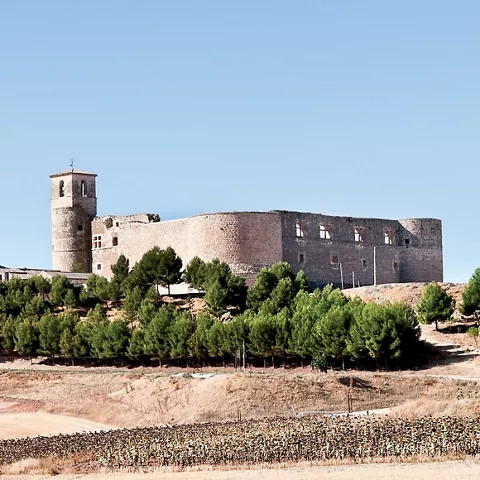 Castillo en colina con pinar
