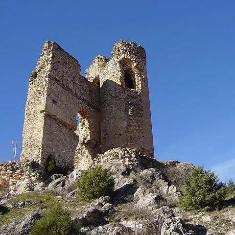Restos de fortaleza sobre peñas y vegetación silvestre.