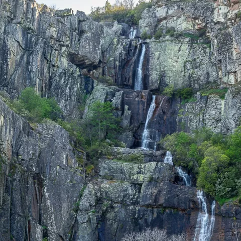 Gran cascada entre riscos y árboles verdes.