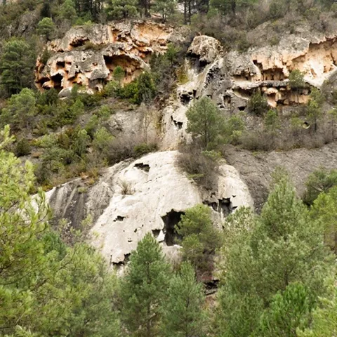 Cuevas en roca caliza.