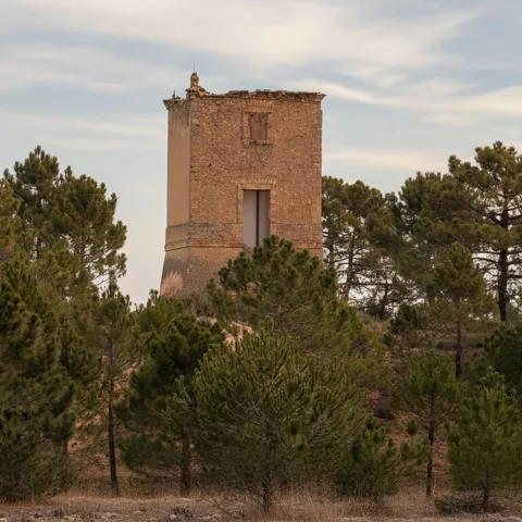 Torre de vigilancia entre pinos