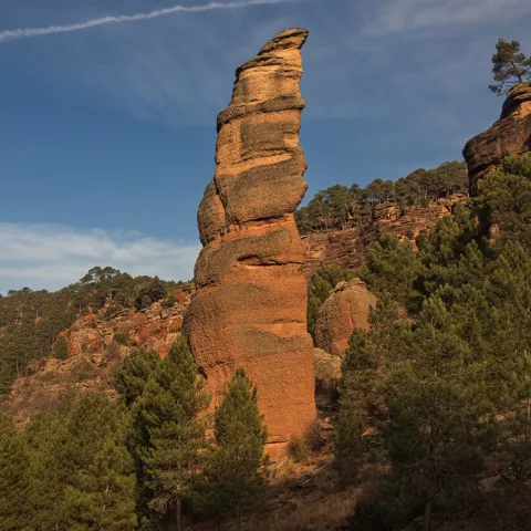 Aguja rocosa erosionada rodeada de pinar
