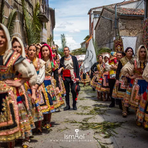 Procesión popular con personas vestidas con trajes tradicionales por una calle empedrada