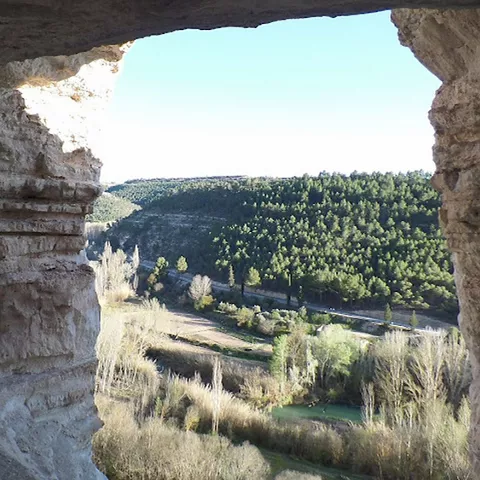 Vista desde el interior de una cueva hacia un río y vegetación ribereña.