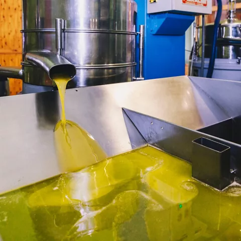 Aceite de oliva recién extraído fluyendo en maquinaria de almazara