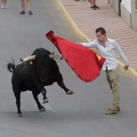 Recorte con toro y capote en plena calle