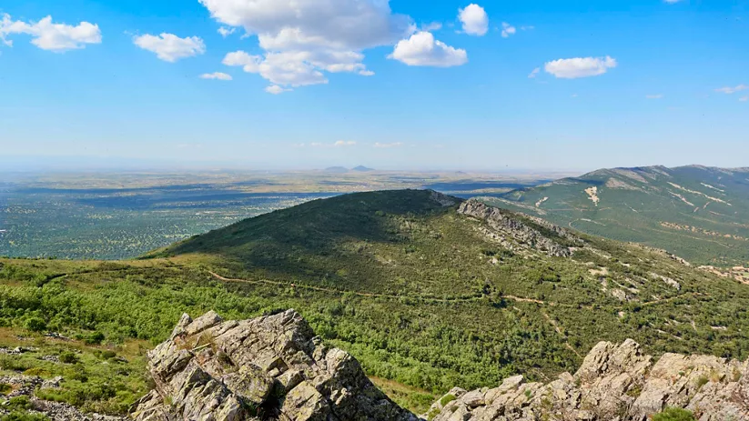 Fachada de ermita de piedra con campanario entre árboles y cielo azul.