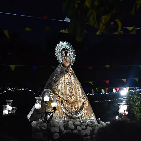 Imagen religiosa en procesión nocturna con luces y banderines