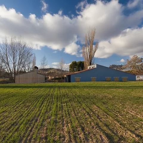 Campos verdes de cultivo junto a construcciones rurales en Higueruela bajo un cielo azul con nubes.