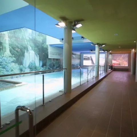 Piscina interior con barandilla de cristal, columnas y mural de naturaleza en la pared.