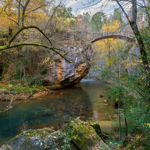 Puente de piedra sobre río entre bosque