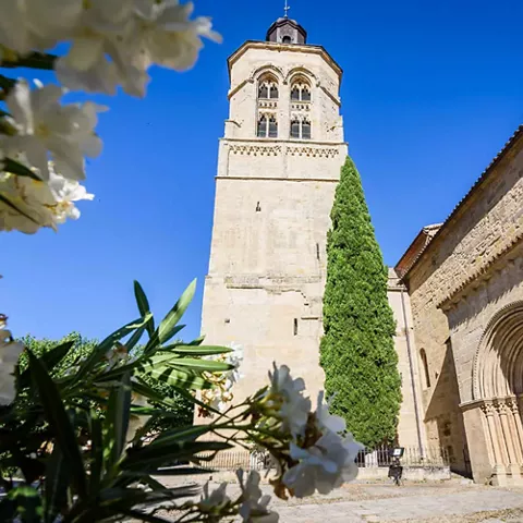 Iglesia de piedra con torre alta, portada románica y flores en primer plano.
