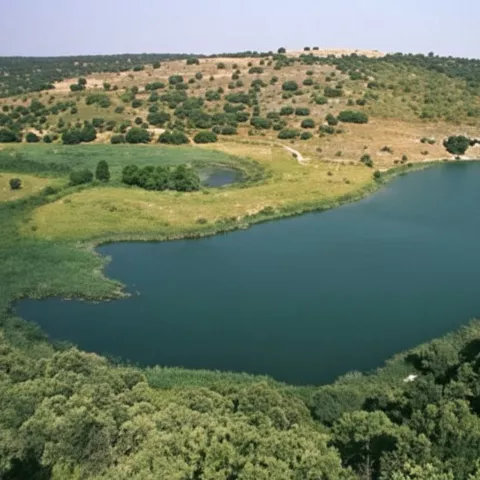 Vista aérea de un lago rodeado de bosque y praderas verdes.