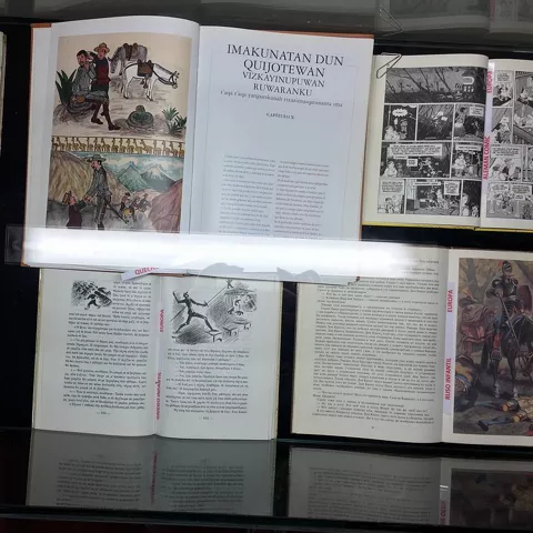 Libros antiguos y ediciones ilustradas en vitrina.