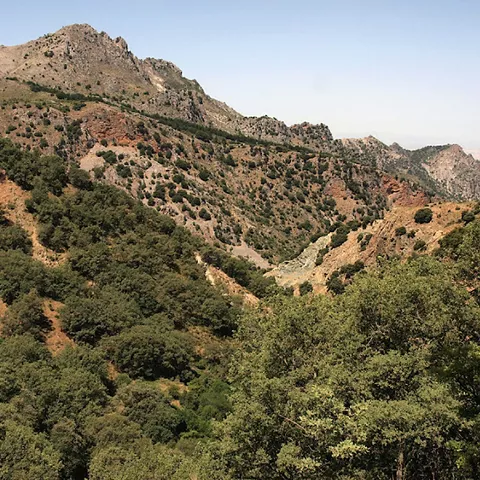 Valle montañoso con laderas arboladas y formaciones rocosas escarpadas