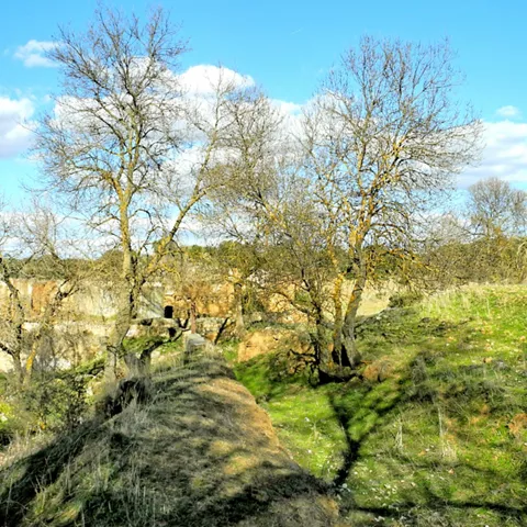 Paisaje rural con árboles sin hojas y restos de molino