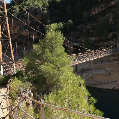 Pasarela colgante sobre un cañón con agua oscura y vegetación.