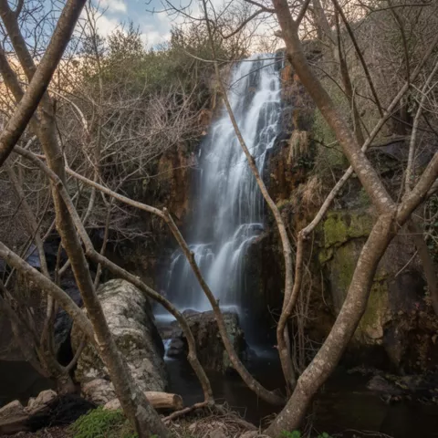 Salto de agua entre árboles sin hojas, con rocas húmedas y musgo alrededor.