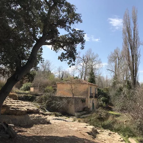 Paisaje rural con edificio aislado rodeado de árboles y vegetación.