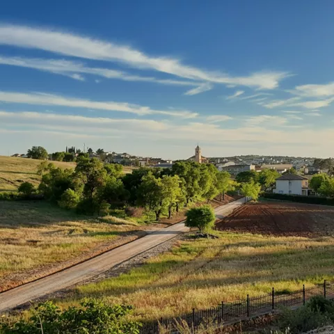 Camino rural entre campos y arbolado con vistas al pueblo.