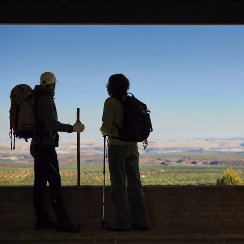 Peregrinos contemplando el paisaje agrícola desde un mirador