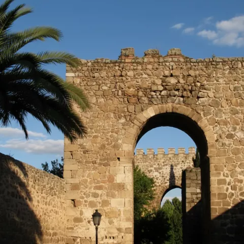 Puerta de muralla de piedra con gran arco, palmera a un lado y paso sombreado.
